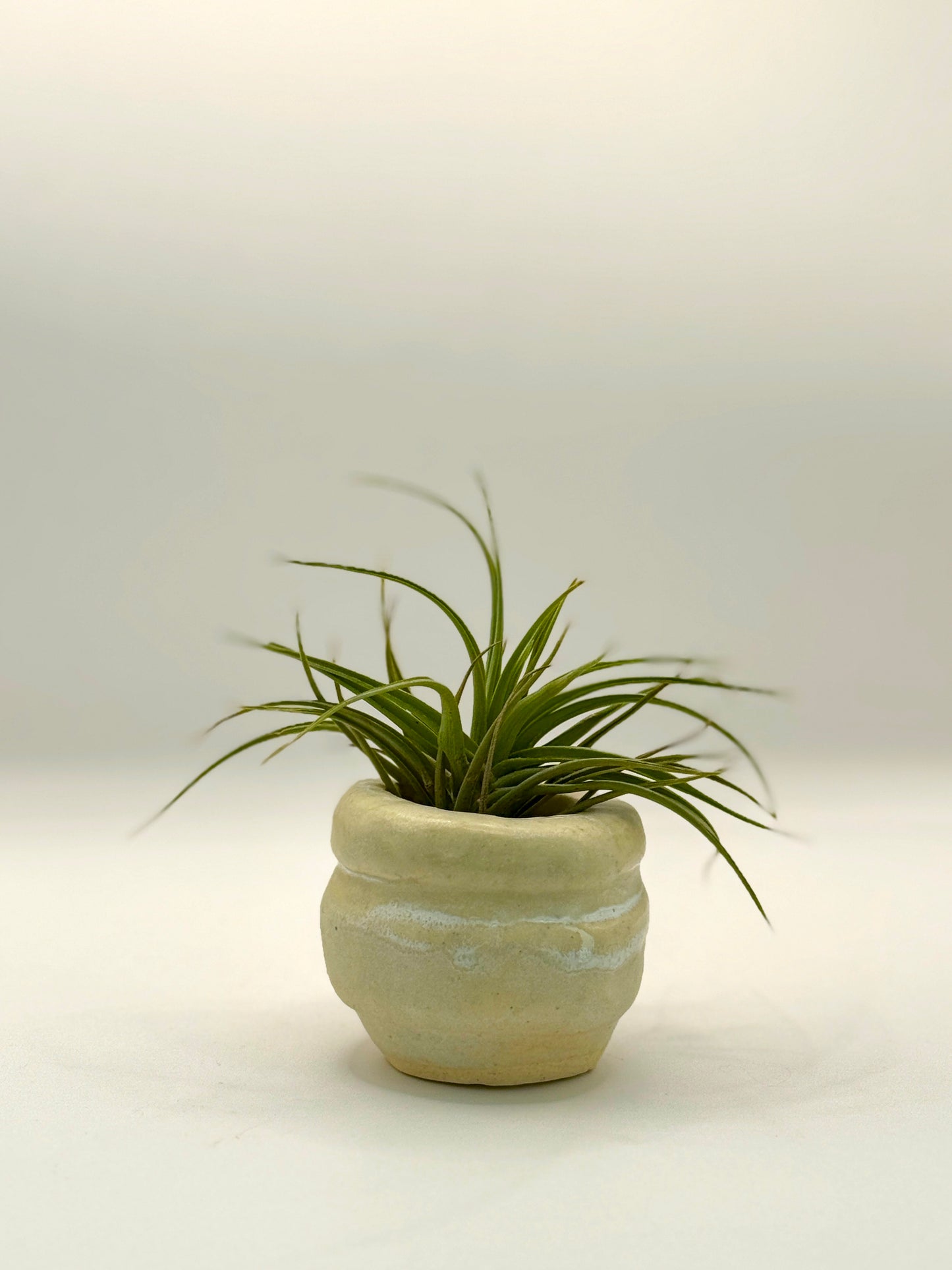 Small White Ceramic Air Plant Vessel – Handmade Pottery