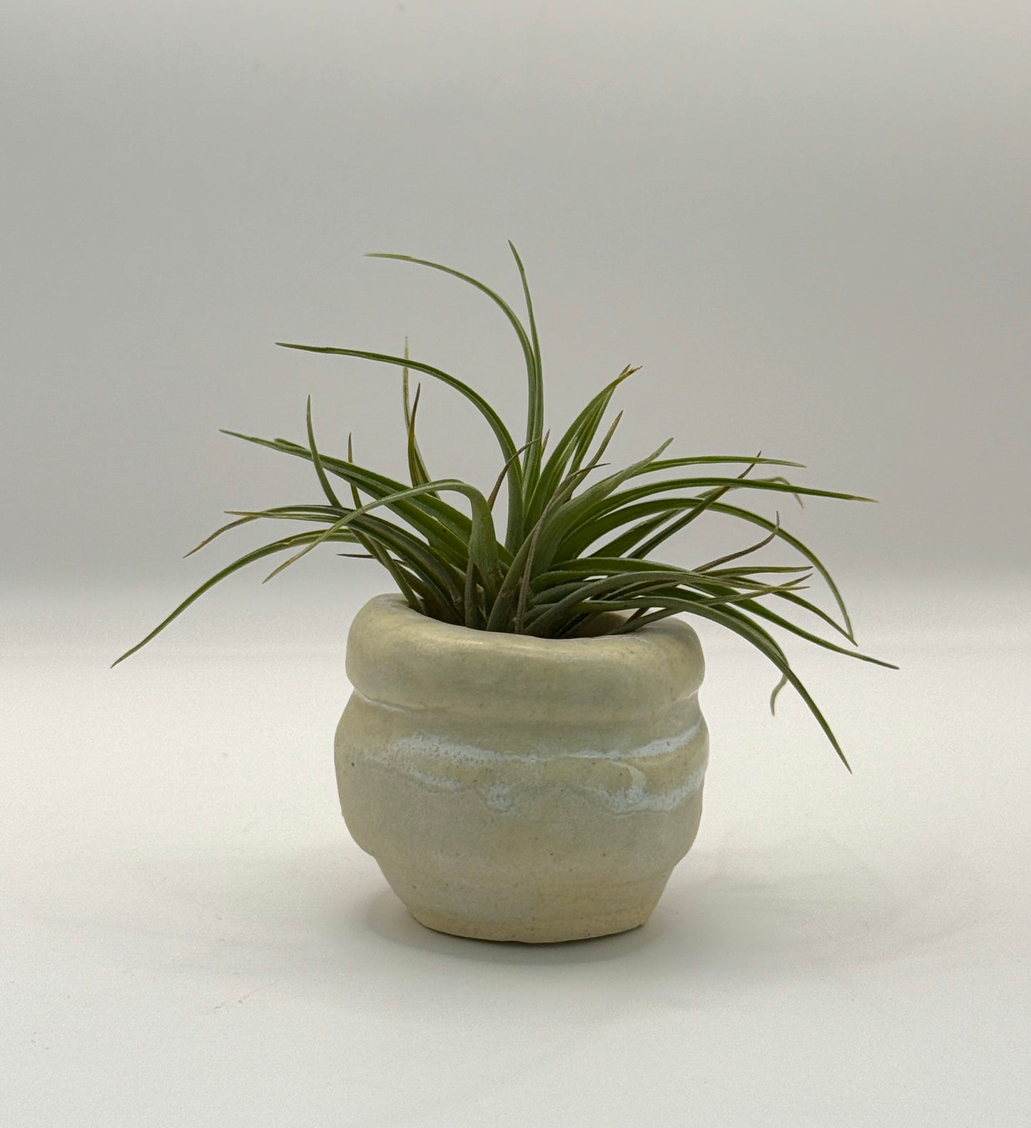 Small White Ceramic Air Plant Vessel – Handmade Pottery