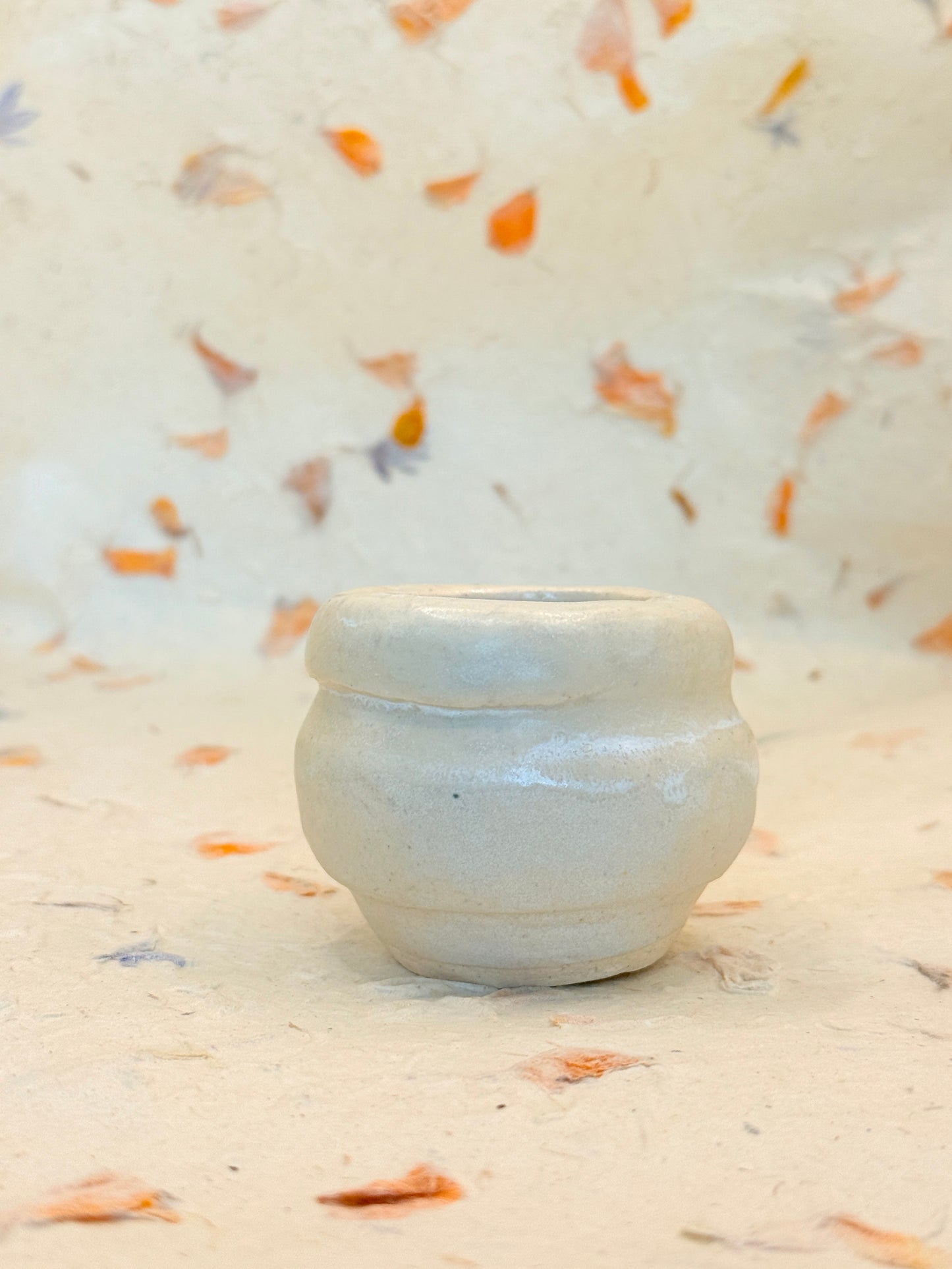 Small White Ceramic Air Plant Vessel – Handmade Pottery