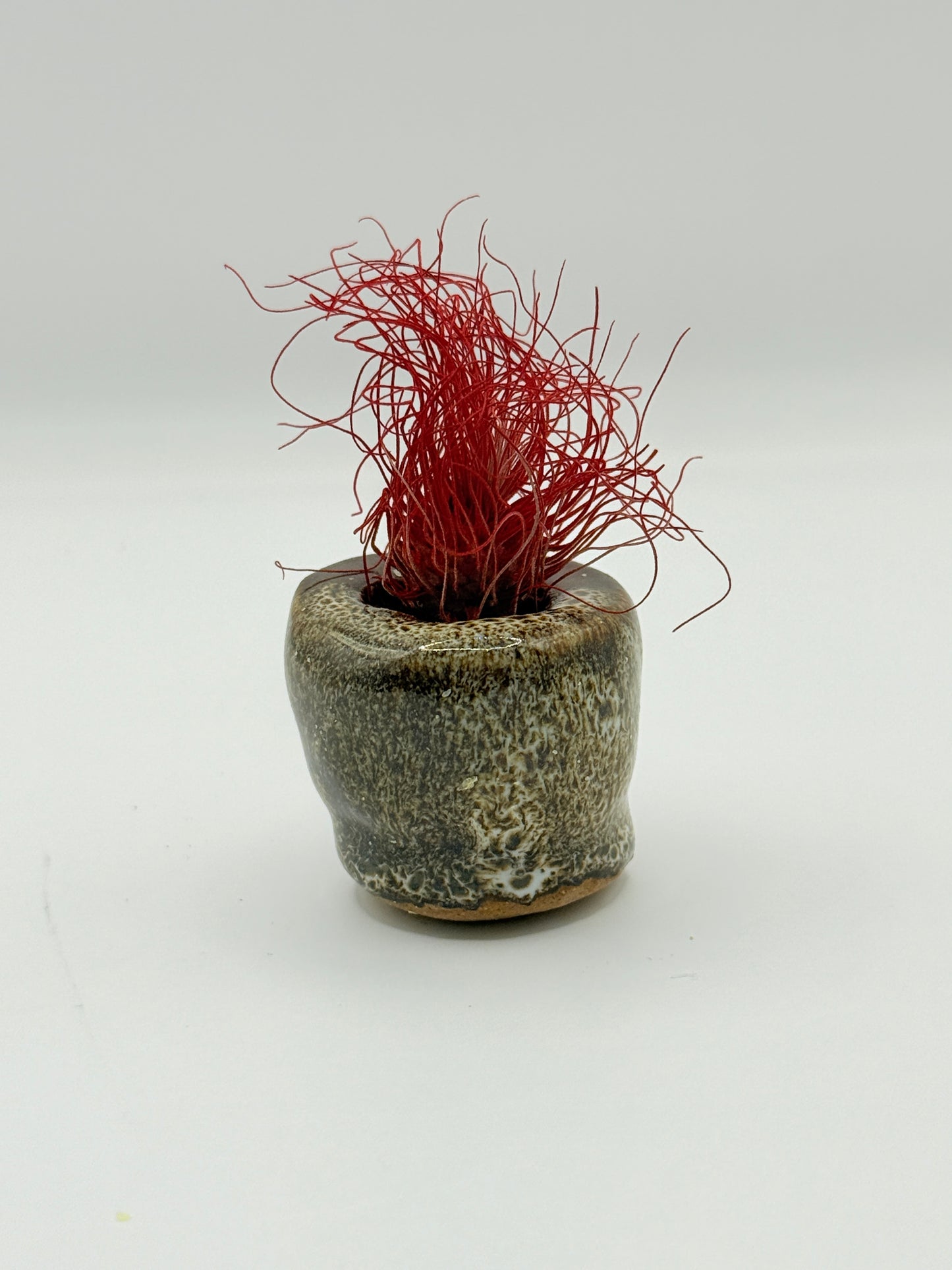 Small Ceramic Airplant Holder – Handmade Minimalist Vessel by Bunzy