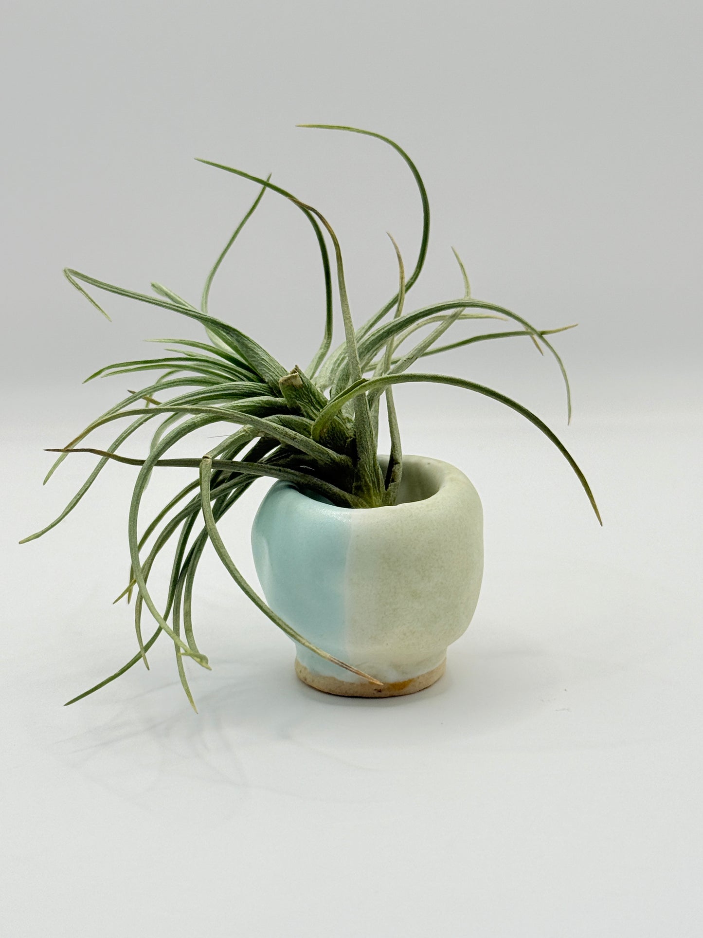 Small Ceramic Airplant Holder – Handmade Minimalist Vessel by Bunzy