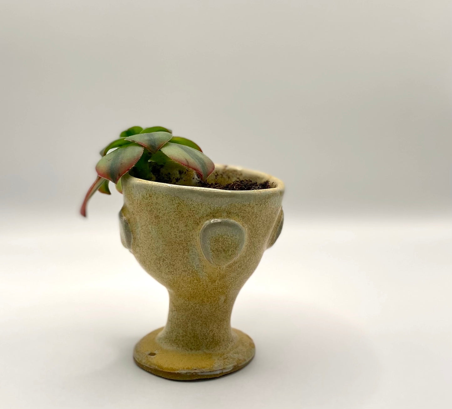 Mini Goblet