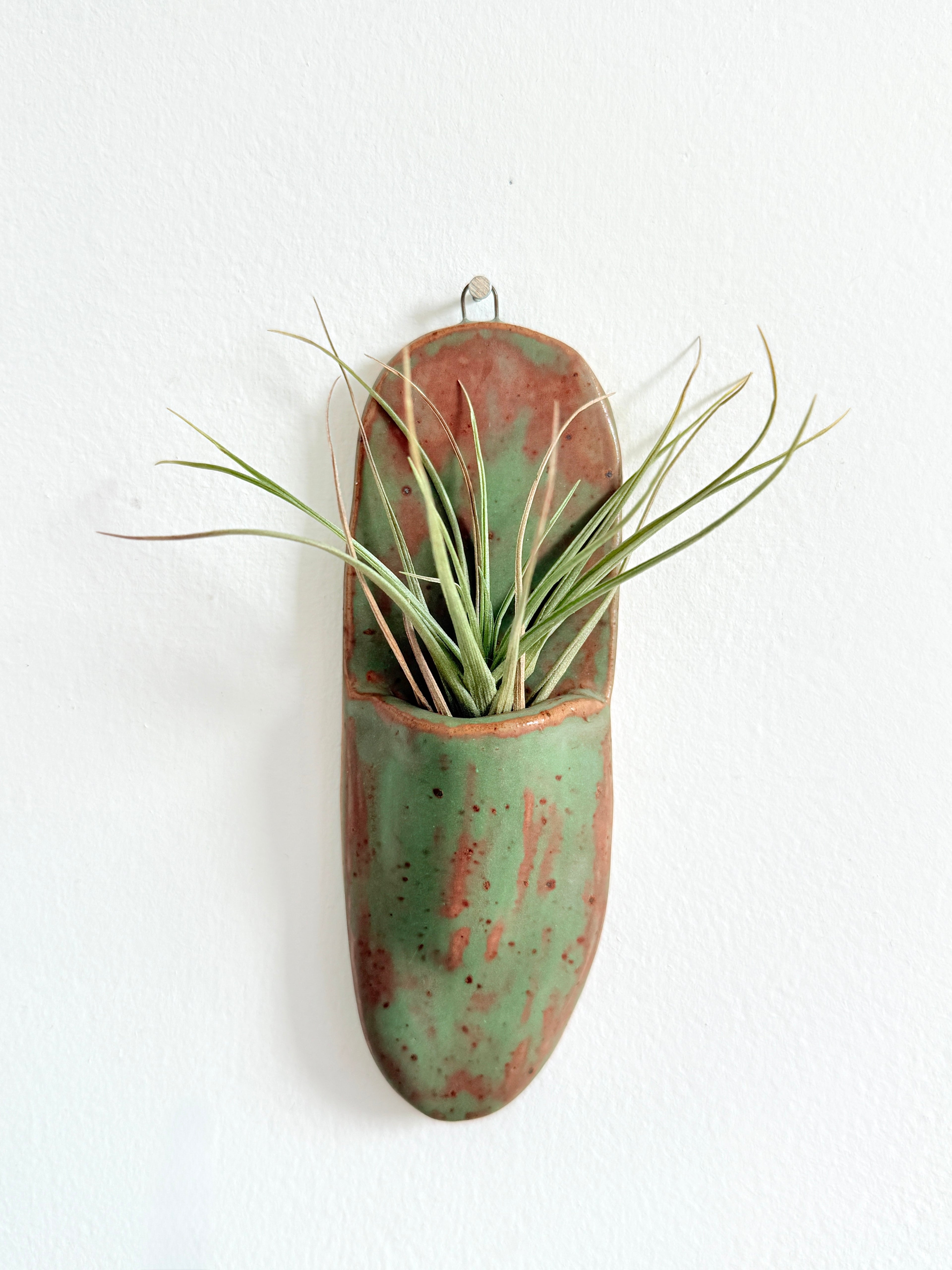 Bunzy speckled green ceramic wall hanger handmade from stoneware holding an air plant.