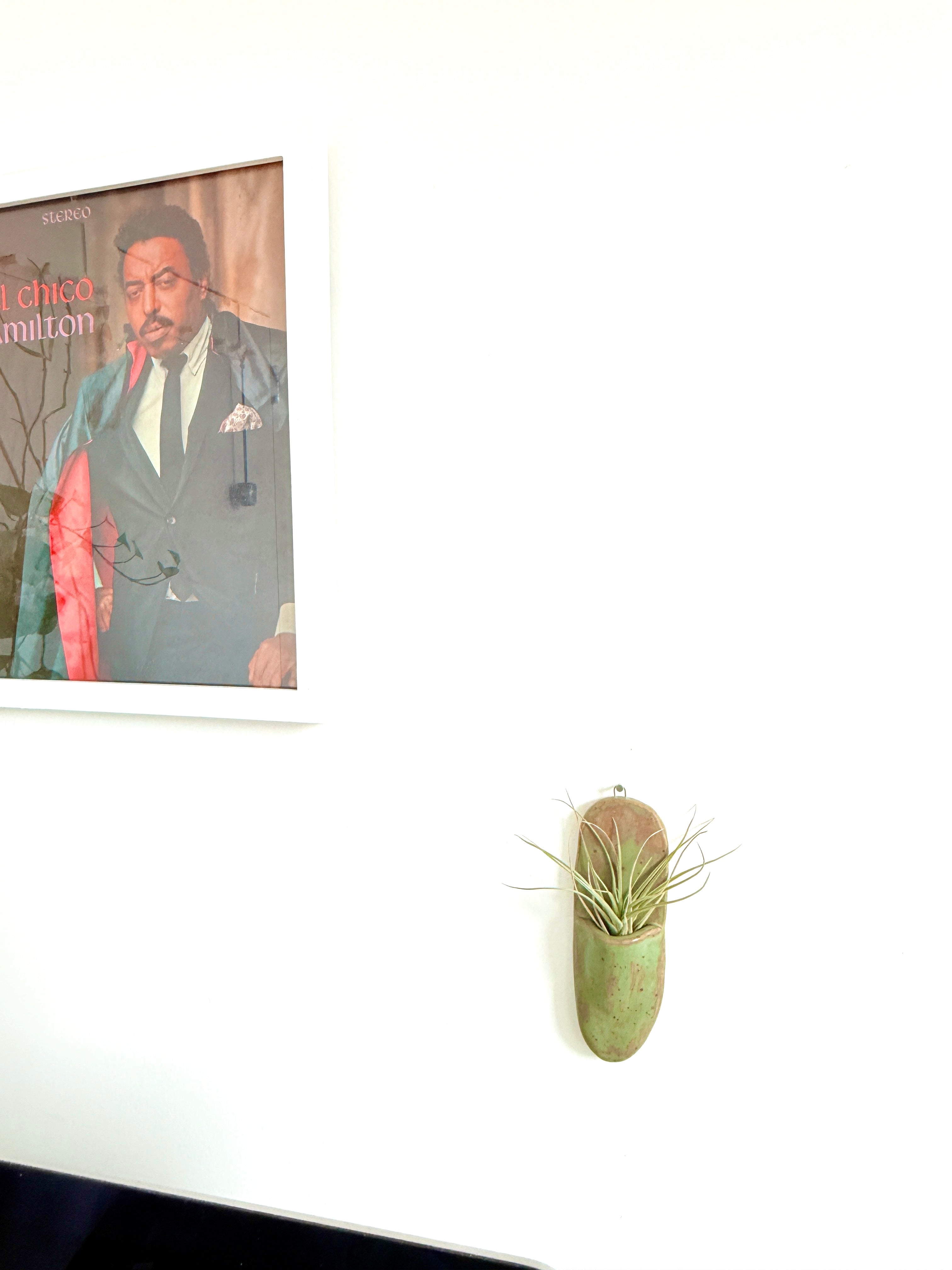 Bunzy speckled green ceramic wall hanger handmade from stoneware holding an air plant.