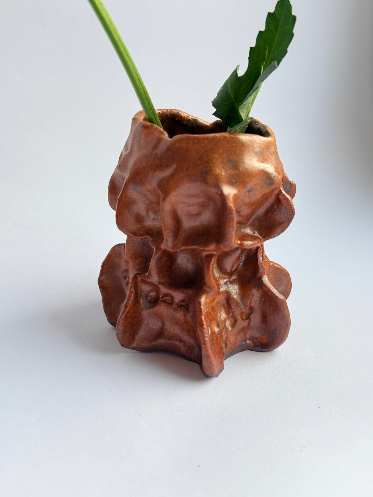 A small sculptural ceramic pot in a warm copper-brown glaze, with a green plant stem and leaf inserted into the top opening, photographed on a plain light background.