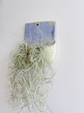 Blue & Cream Ceramic Wall Pocket — Handbuilt Stoneware Hanging Planter or Organizer