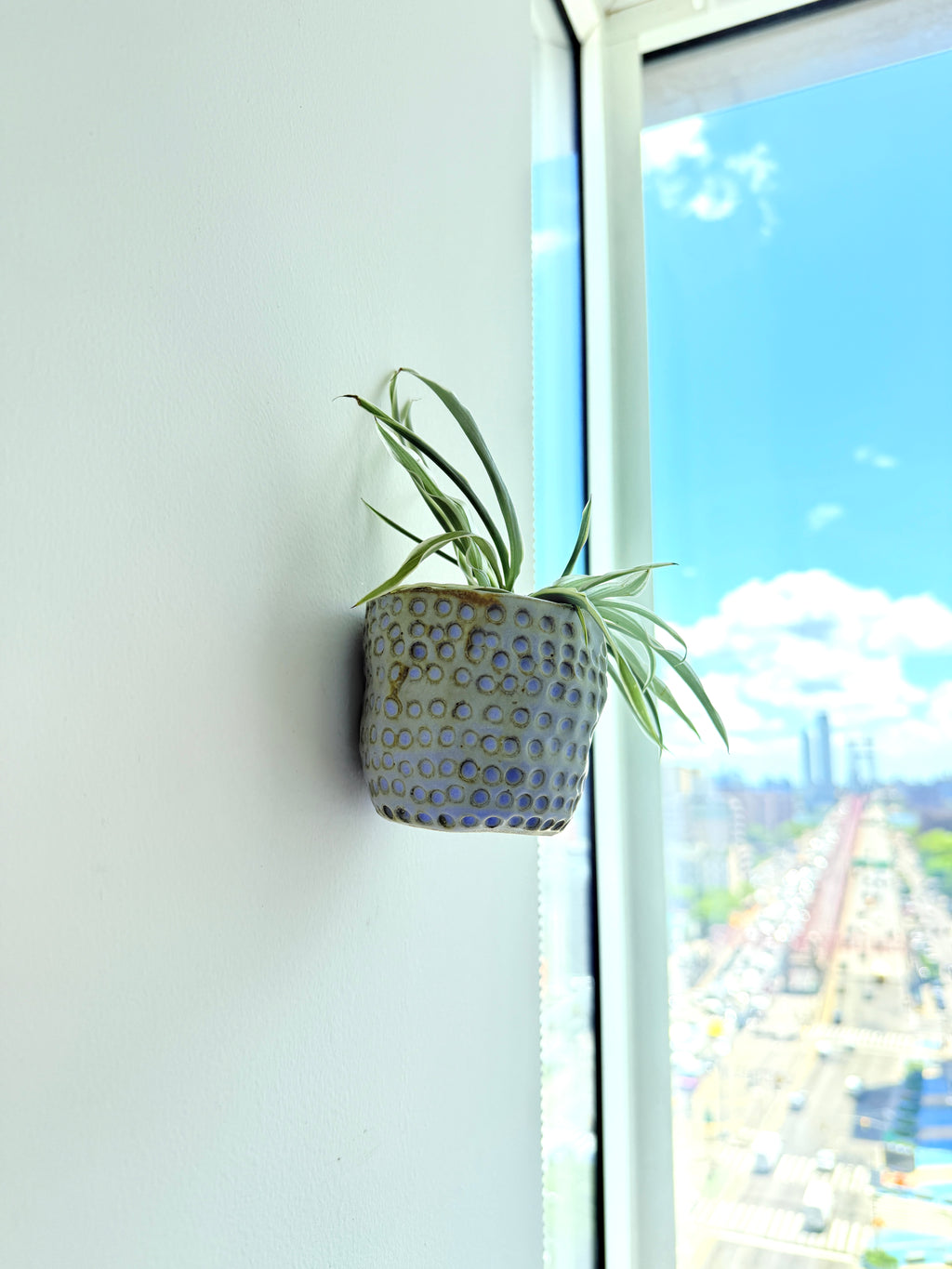 Potted plant on a windowsill with a cityscape view outside