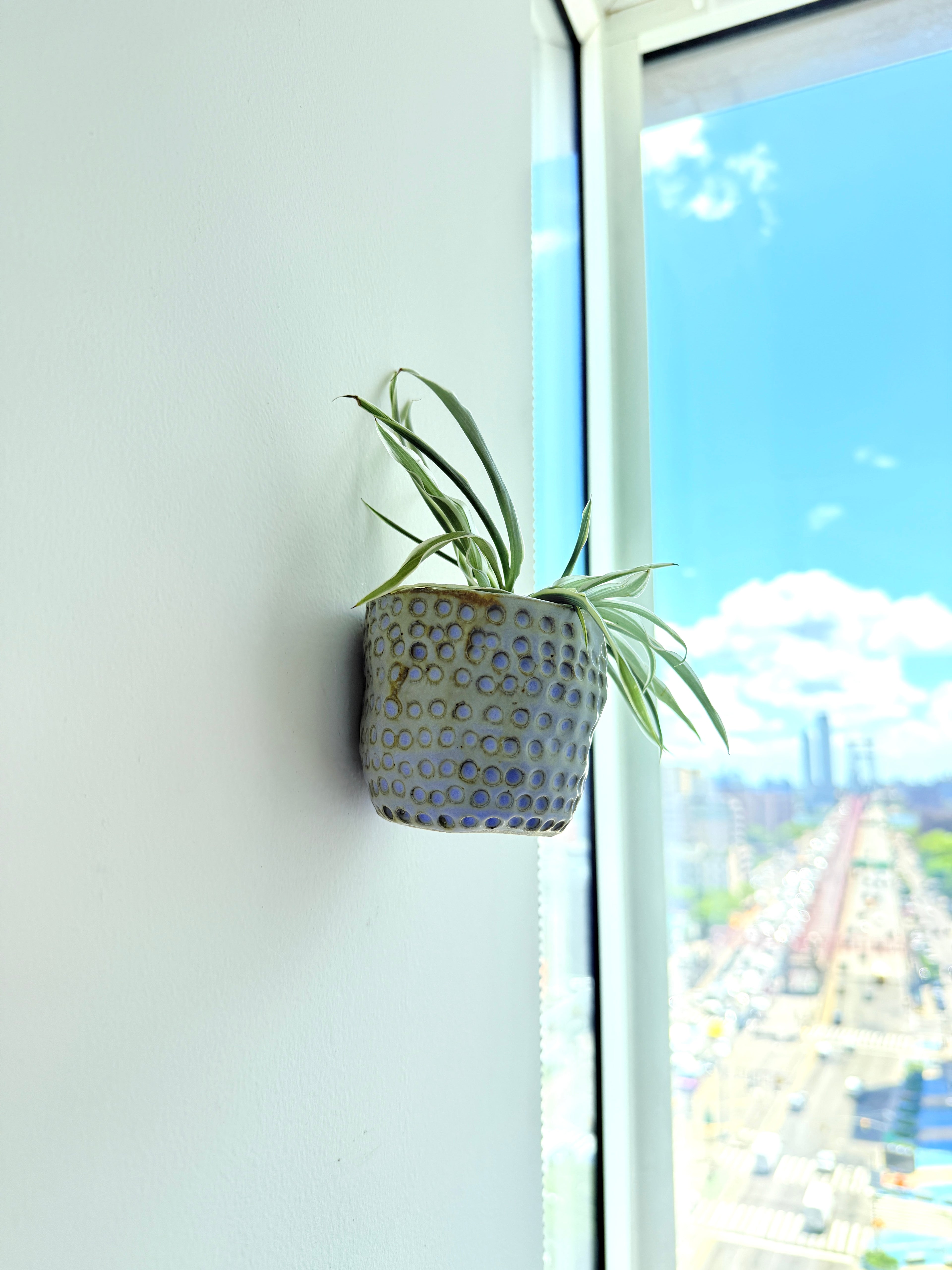Potted plant on a windowsill with a cityscape view outside