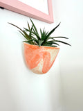 White & Pink / Green & Pink Ceramic Wall Planter — Handbuilt Stoneware