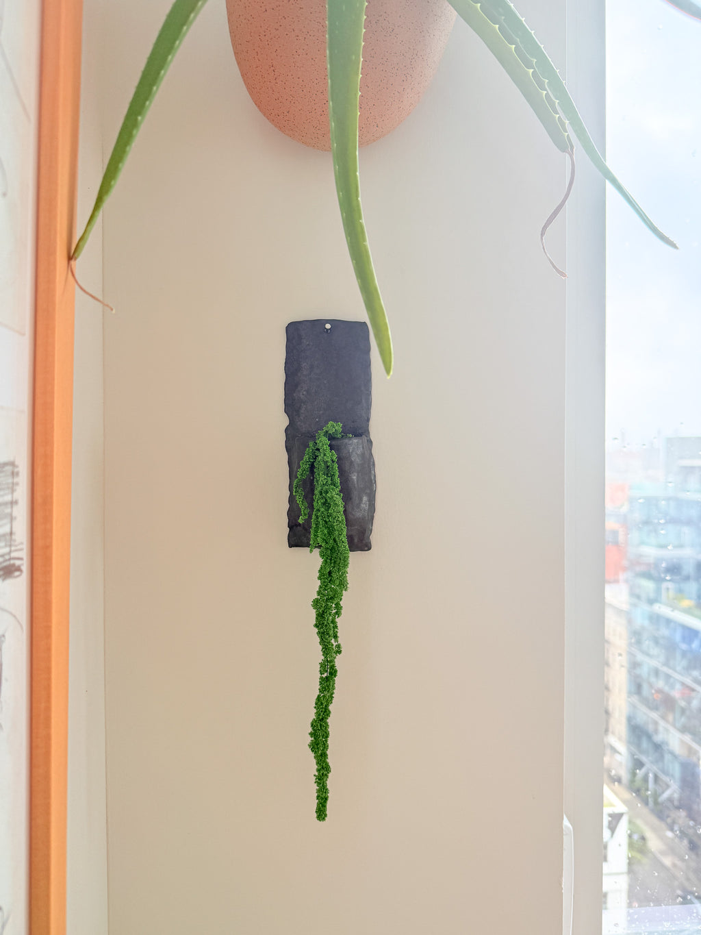 A black rectangular wall-mounted planter holding a trailing green succulent, shown hanging on a beige wall next to a window with an outdoor view.