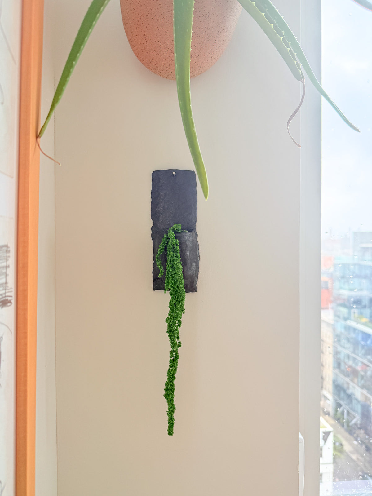 A black rectangular wall-mounted planter holding a trailing green succulent, shown hanging on a beige wall next to a window with an outdoor view.