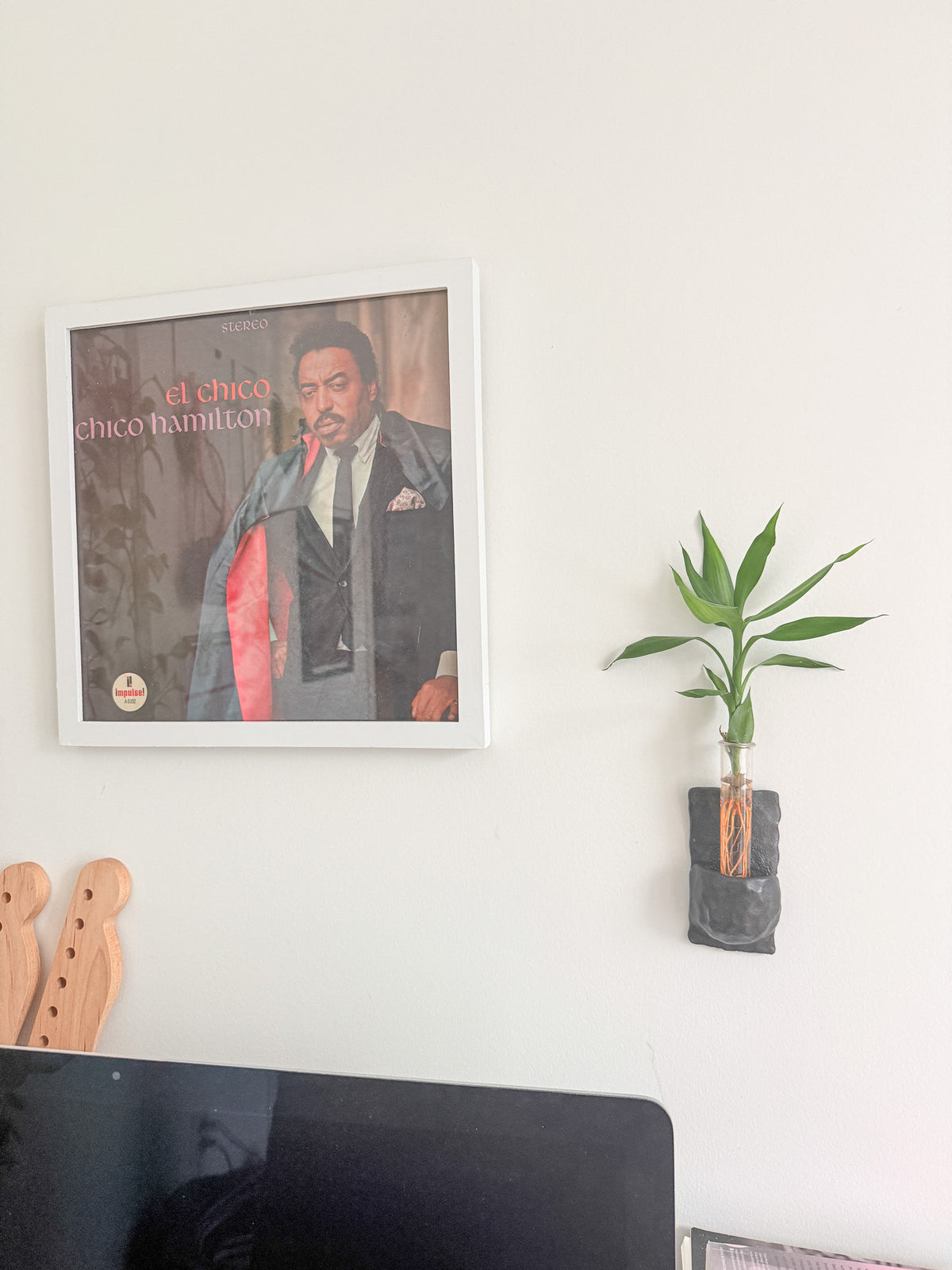A framed print of the album cover for Chico Hamilton's 'el chico' hanging on a white wall next to a small green plant in a dark gray holder.