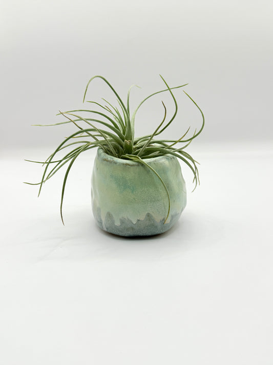 Winter Green Small Ceramic Vessel – Handmade Pottery by Bunzy