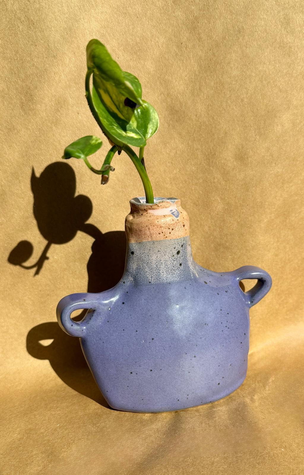 Hand-built stoneware bud vase with soft lavender glaze and pink rim, speckled surface, and small side handles holding a plant cutting