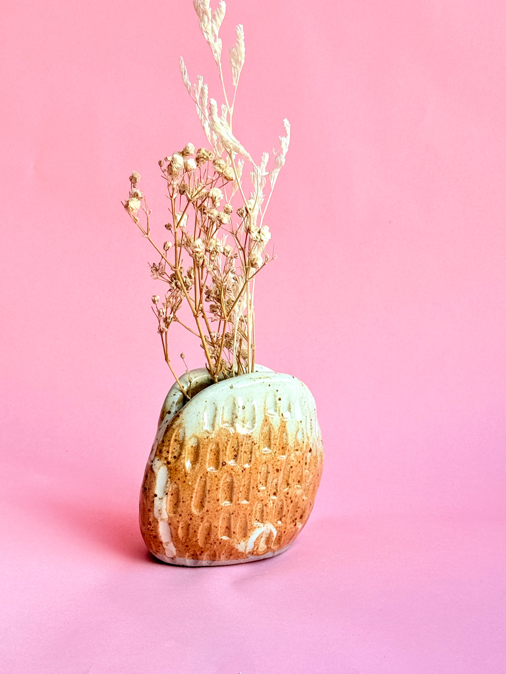 Decorative vase with dried plants on a pink background