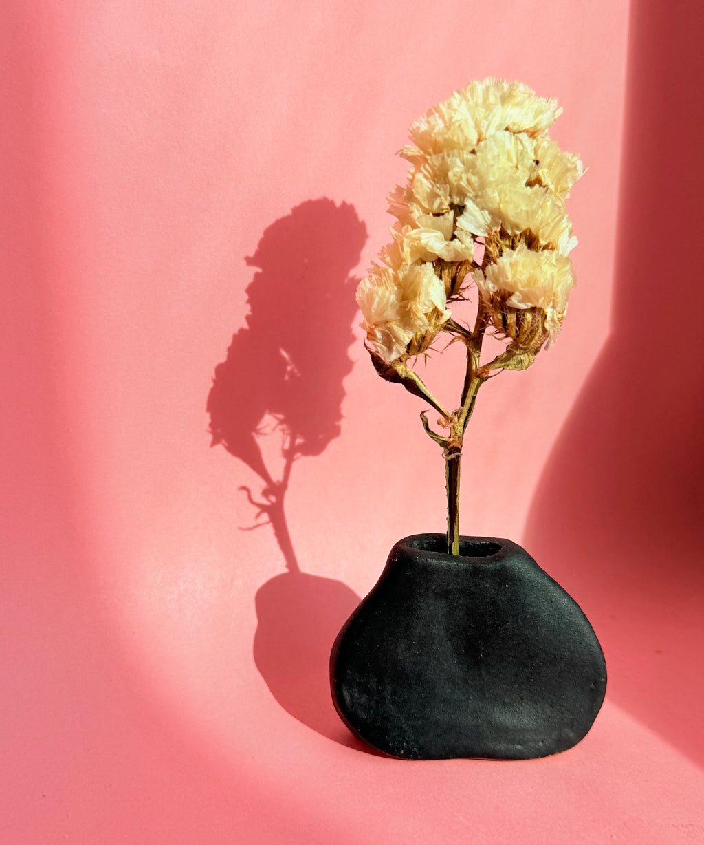 Black vase with dried flowers on a pink background