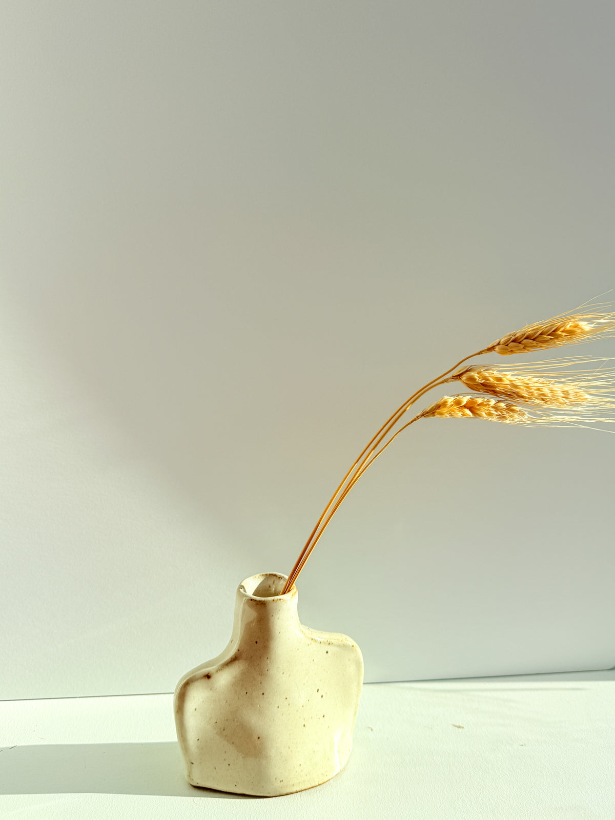 White vase with dried flowers on gray background