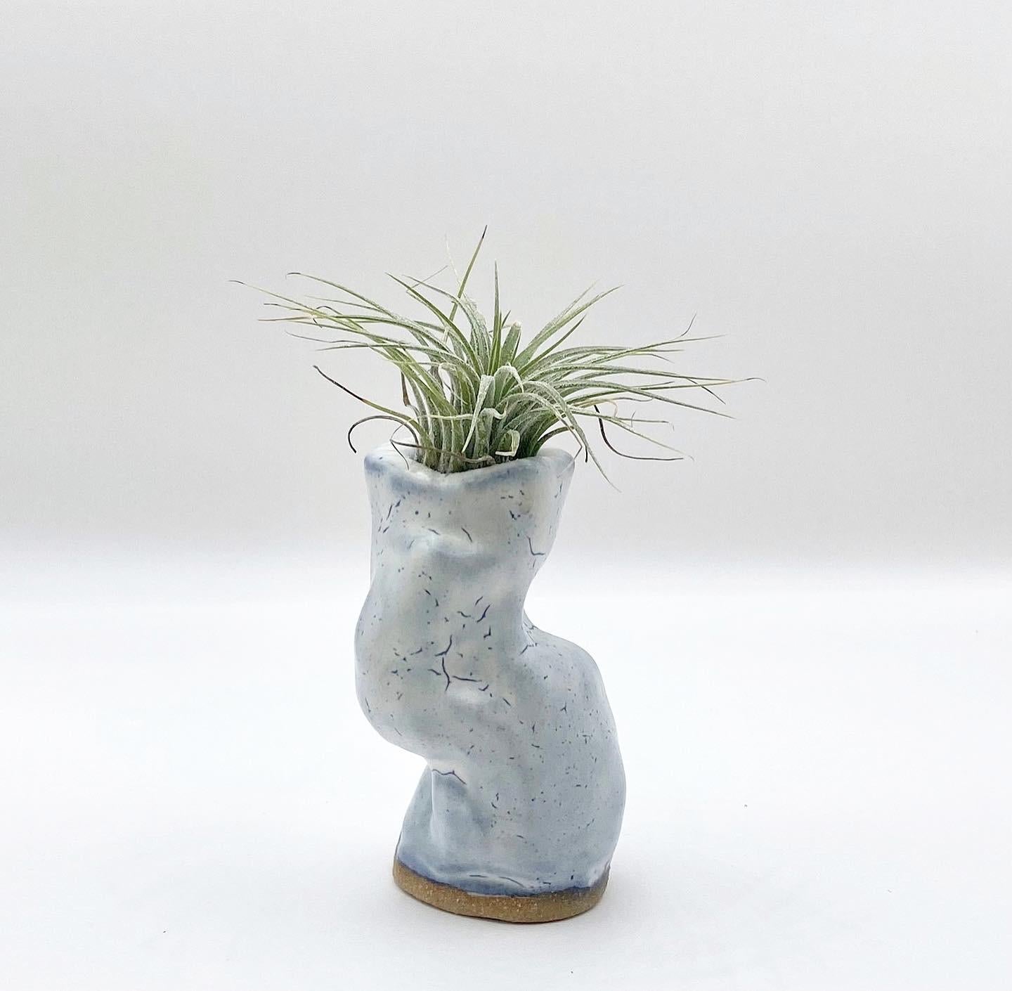 Unique Air Plant Holder - Minimalist Home Decor for Small Spaces