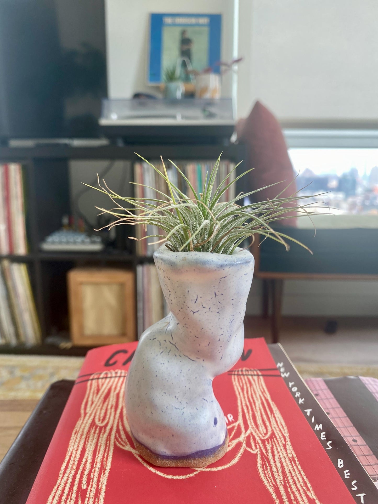 Unique Air Plant Holder - Minimalist Home Decor for Small Spaces